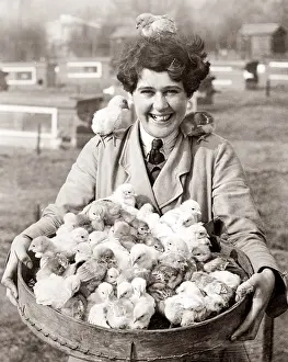 Hatchlings: Girl with a basket full of Easter chicks, 1930's