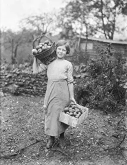 Punnet: Girl with baskets of apples