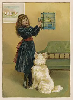 Caged: GIRL WITH BIRD AND DOG
