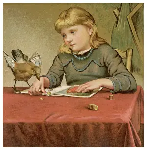 Alighted: GIRL AND BIRD ON TABLE