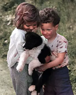 Andrew Besley: Girl and boy with puppy