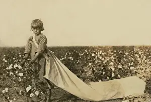 Picker: Girl - child labor - occupations