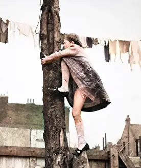 Girl climbing tree, line of washing, Balham, SW London