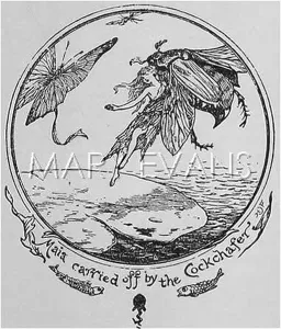 Maia: GIRL AND COCKCHAFER