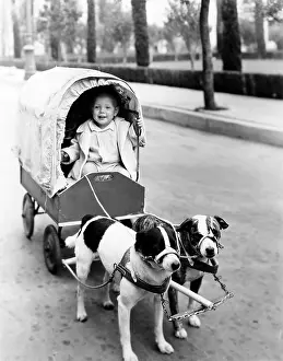 Miniatures: Girl in covered wagon pulled by dogs