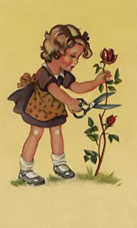 Shears: Girl Cutting Rose