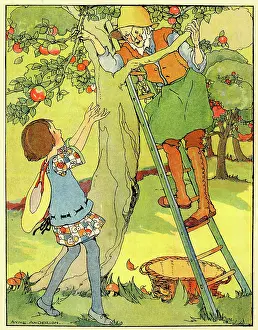 Orchard: Girl and Farmer picking Apples