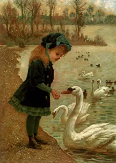 Paddled: Girl Feeding Swan