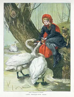 Waller: Girl feeding Swans