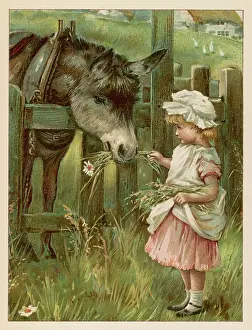 C1885: GIRL FEEDS DONKEY C1885