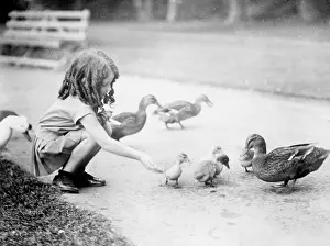 Crouches: Girl Feeds the Ducks