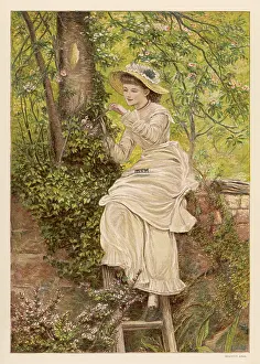 Nestlings: GIRL FEEDS NESTLINGS
