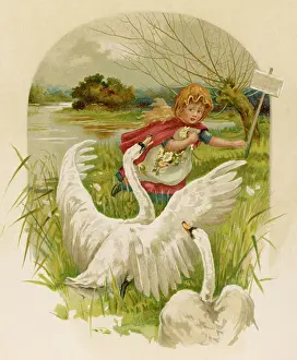 Alarmed: GIRL FLEES SWANS