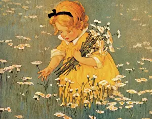 Willcox: Girl Gathering Daisies