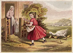 Encounters: GIRL AND GEESE