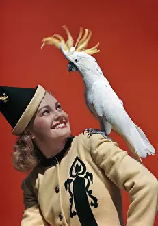 Girl In Gold - Cockatoo On Shoulder