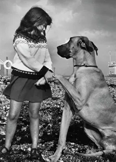 Lifebelt: Girl with Great Dane on a pebbly beach