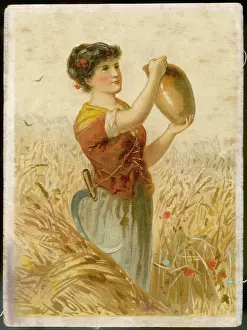 Wildflowers: GIRL HARVESTER DRINKS