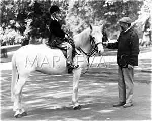 Moustachioed: GIRL ON HORSE