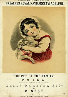 Cuddles: Girl Hugging Pet Lamb
