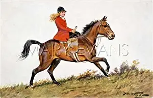 Cantering: GIRL IN HUNTING PINK