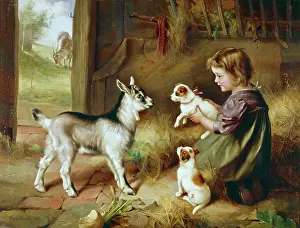Throught: Girl with a Kid and Puppies