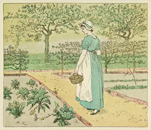 Cabbages: GIRL IN KITCHEN GARDEN