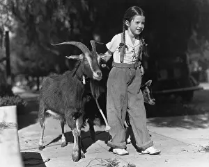 Wholesome: Girl leading two goats