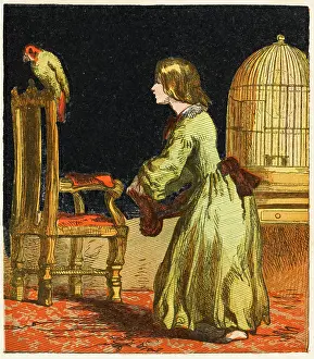 Cages: GIRL LETS BIRD OUT 1867