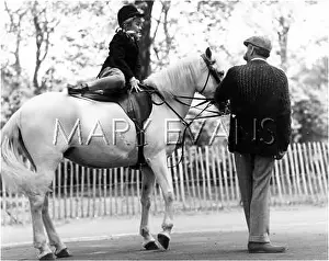 Hauls: GIRL MOUNTING HORSE