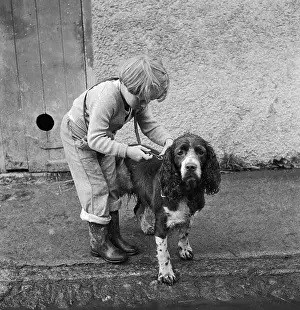 Attach: Girl and pet Spaniel