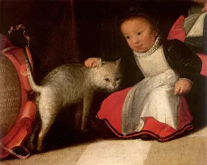 Petting: Girl petting a White Cat
