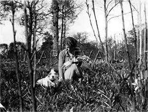 Scripta: GIRL PICKING BLUBELLS