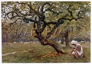 C1877: GIRL PICKS FRUIT C1877