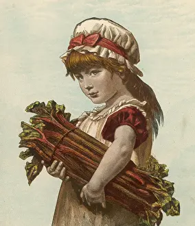 Rhubarb: GIRL WITH RHUBARB C1880