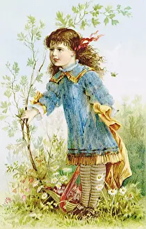 Daisies: Girl with Sapling