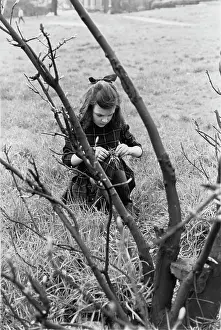 Concentrates: Girl sitting in long grass
