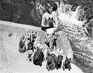 Southdown: GIRL WITH TERRIERS