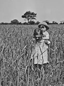 Cornfield: Girl and toddler in a cornfield
