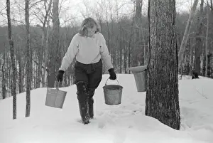 Pails: Girl - Worker - Maple Syrup - Occupations