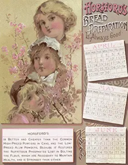 Calendars: Girls with Budding Boughs