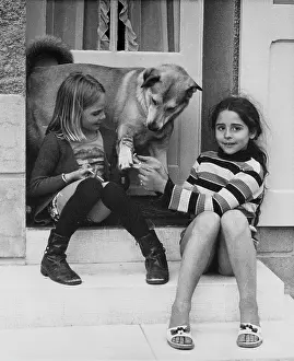 Doorstep: Two girls and a dog on a doorstep