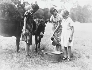 The Childrens Society: THREE GIRLS WITH DONKEYS
