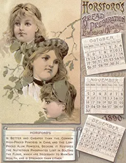 Calendars: Girls with Fall Boughs