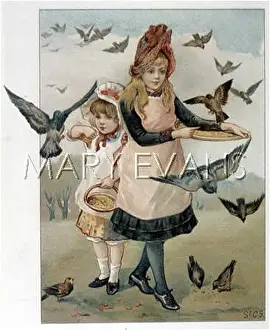 Breadcrumbs: GIRLS FEEDING BIRDS