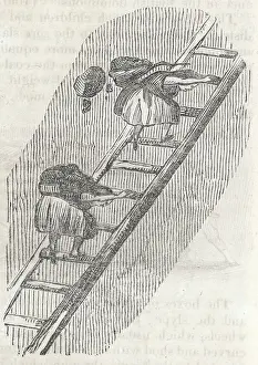 Coals: GIRLS ON LADDERS