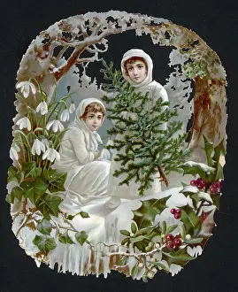 Obtaining: Girls with Tree