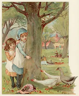 Trepidation: GIRLS WATCH GEESE