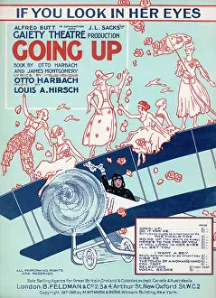 Absurd: GIRLS ON THE WING