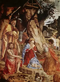 Libri: Girolamo dai Libri, (147